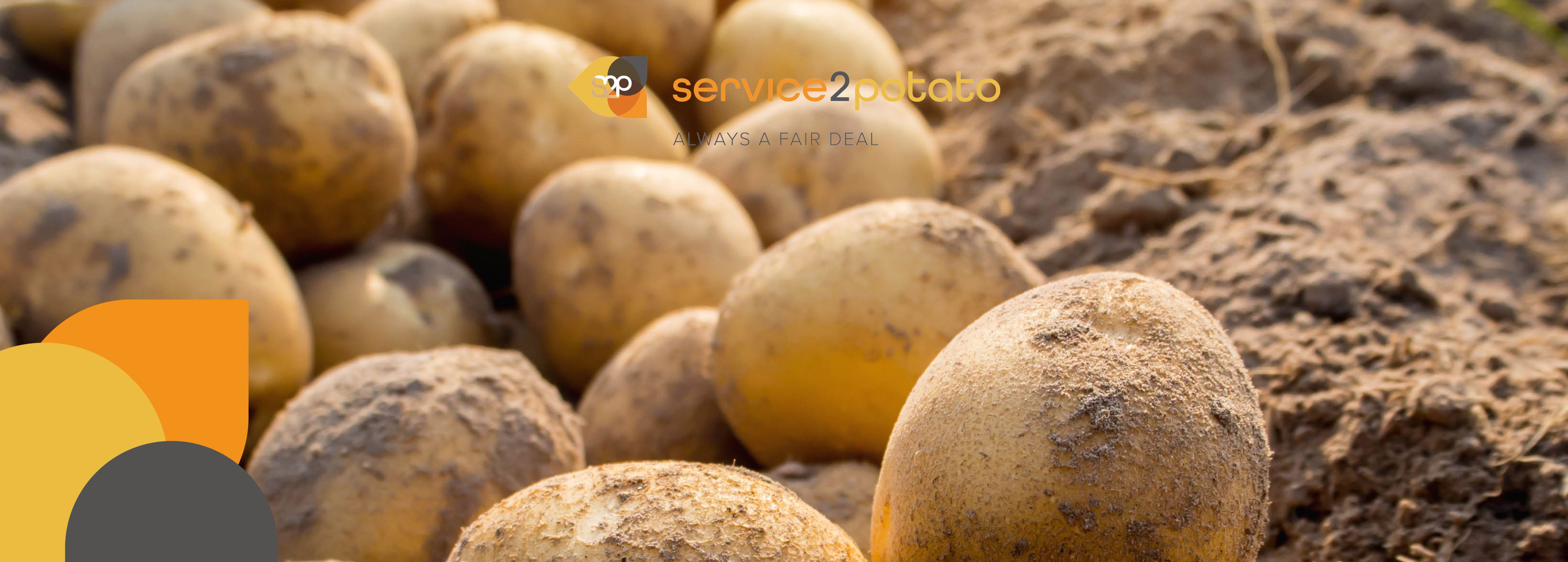 Aardappelmarktupdate 23 juni 2025